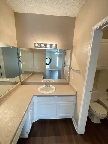 a bathroom with a sink and a toilet