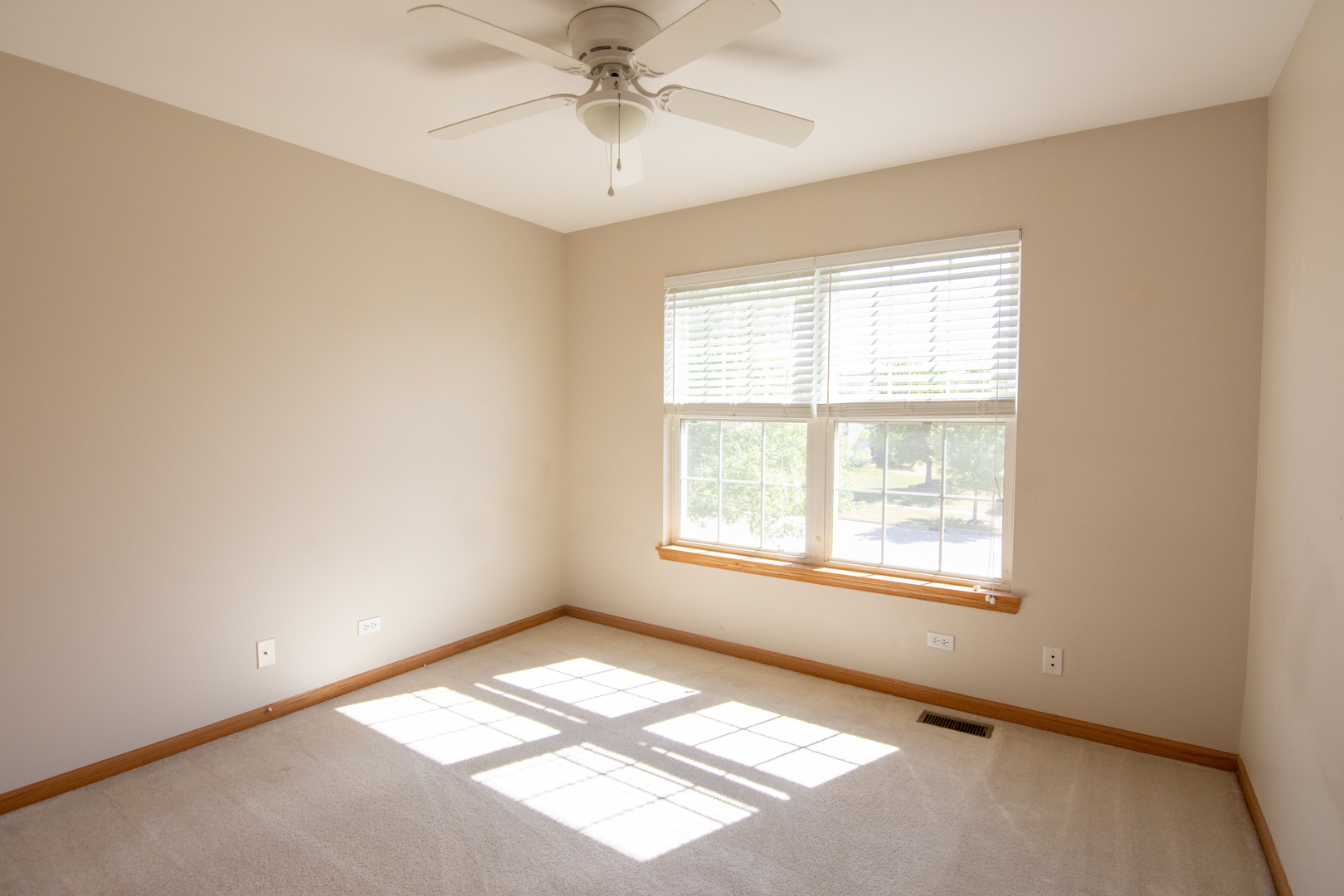 11815 Everglades Road Huntley, IL 60142 - Photo 12 of 15