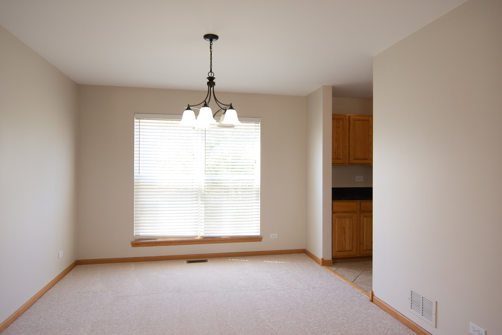 11815 Everglades Road Huntley, IL 60142 - Photo 5 of 15