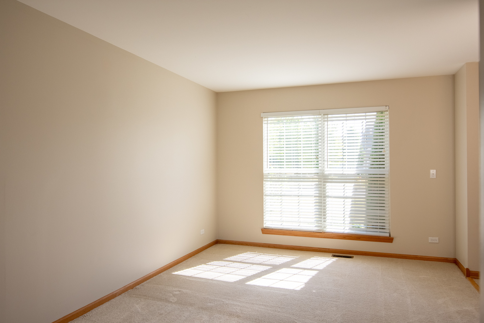 11815 Everglades Road Huntley, IL 60142 - Photo 6 of 15