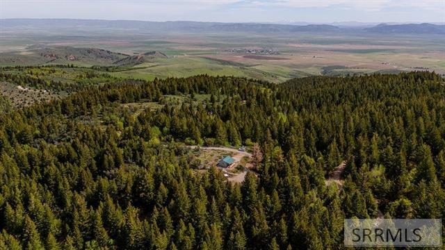 53 Squaw Creek Road Bancroft, ID 83217 - Photo 48 of 52