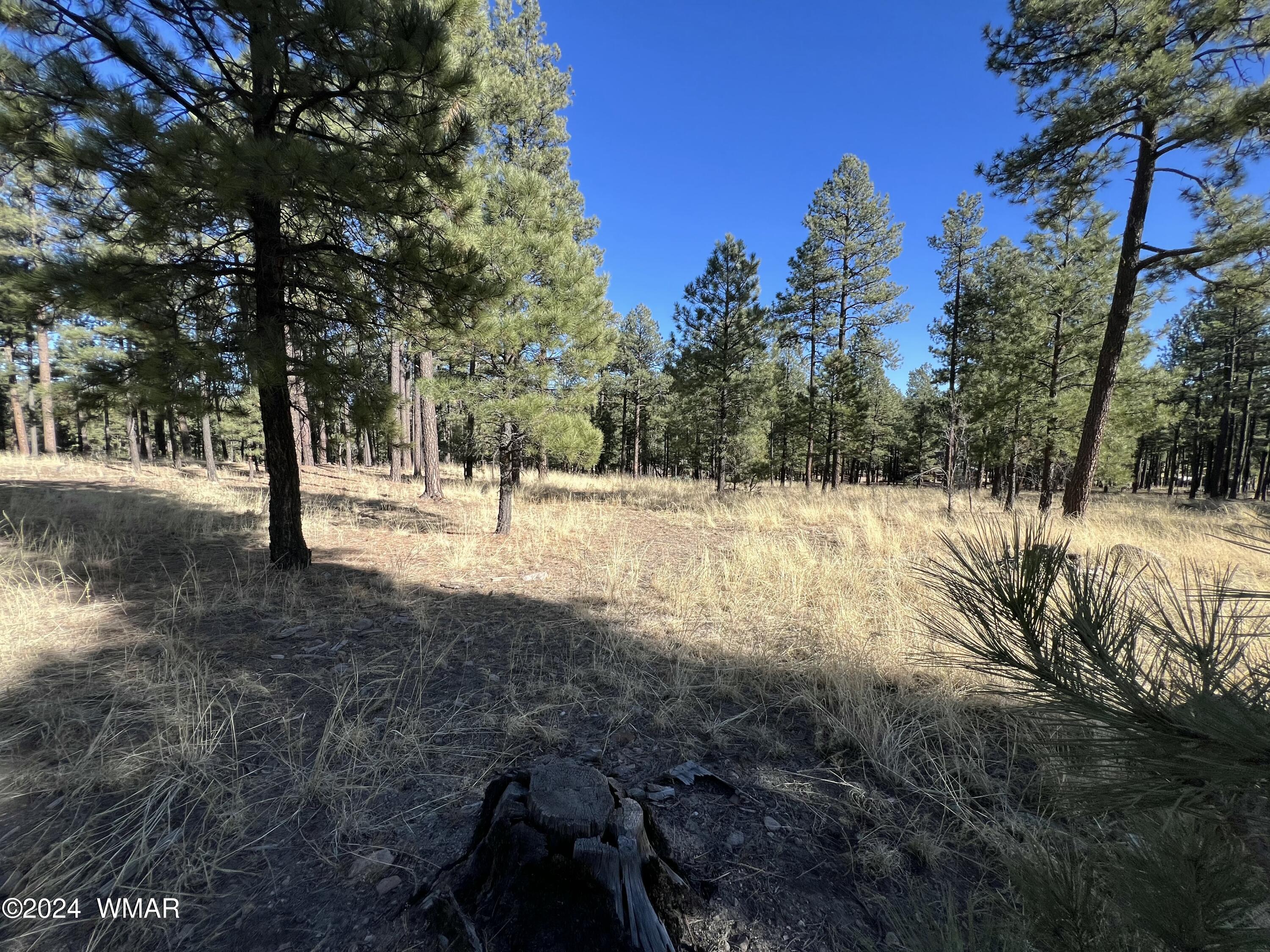 Lot C Alpine Az 85920 Alpine, AZ 85920 - Photo 2 of 6 tempImageOFenAr