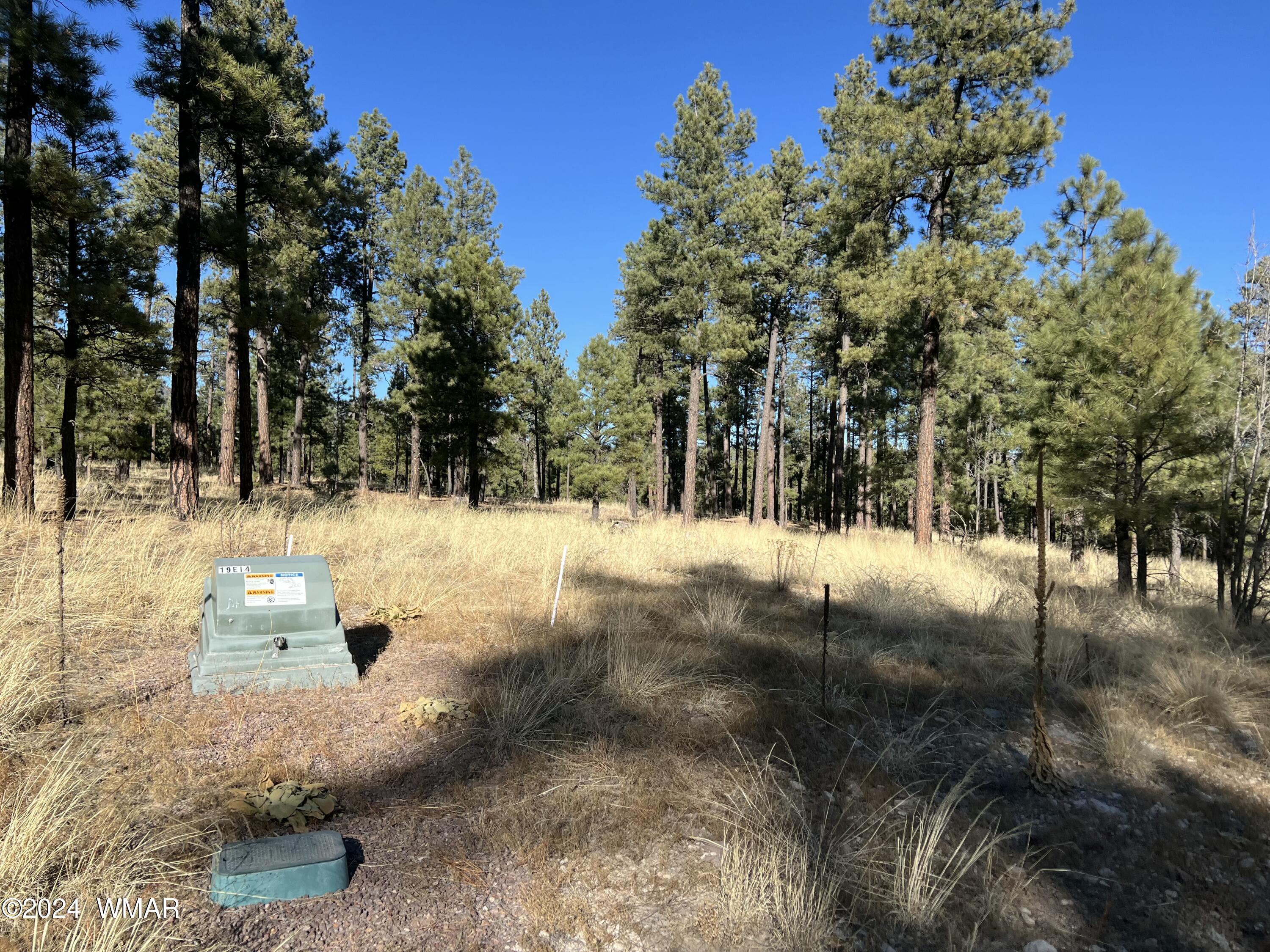 Lot C Alpine Az 85920 Alpine, AZ 85920 - Photo 5 of 6 tempImagecYqqI8