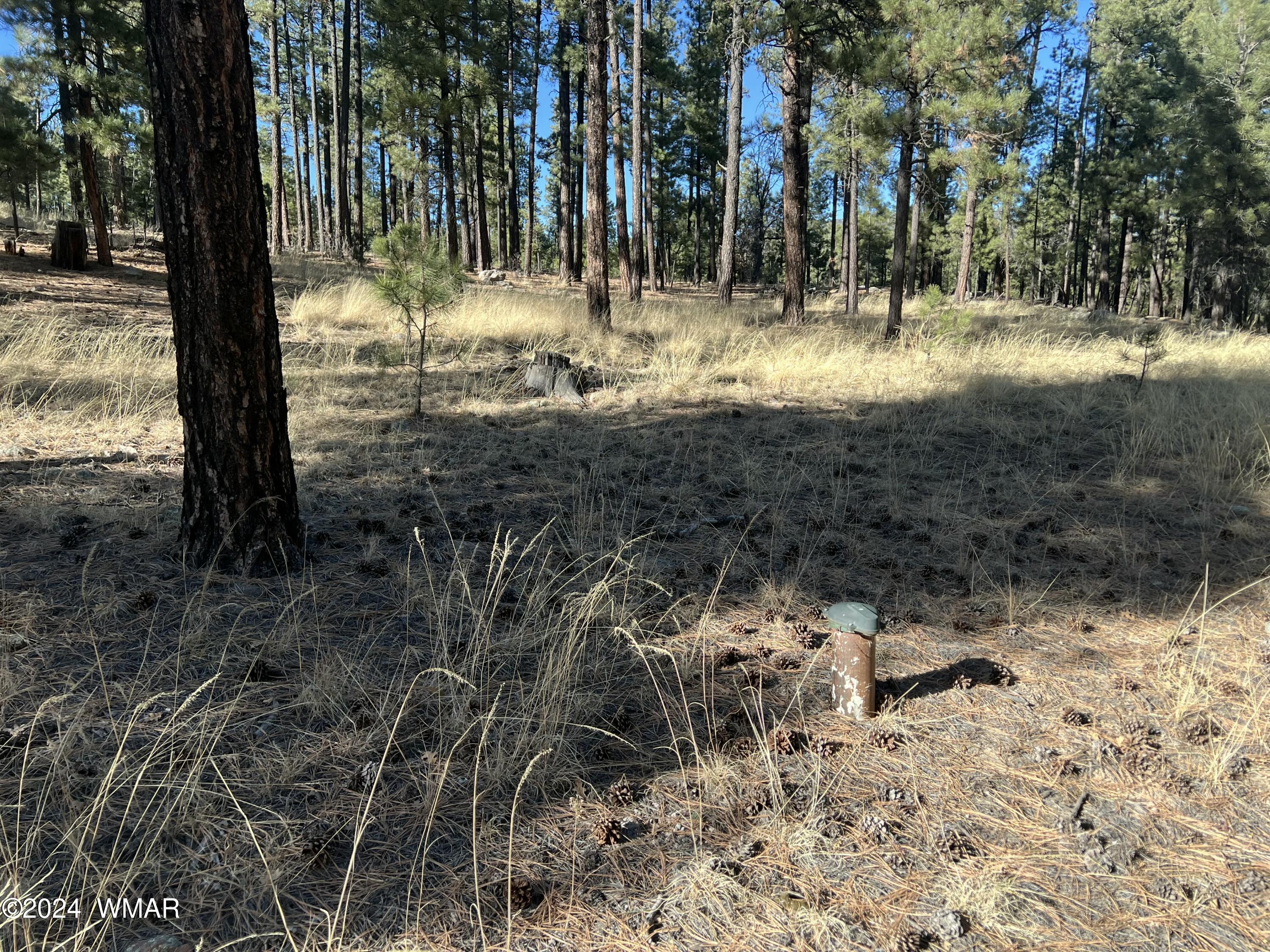 Lot C Alpine Az 85920 Alpine, AZ 85920 - Photo 6 of 6 tempImagePeYNl8