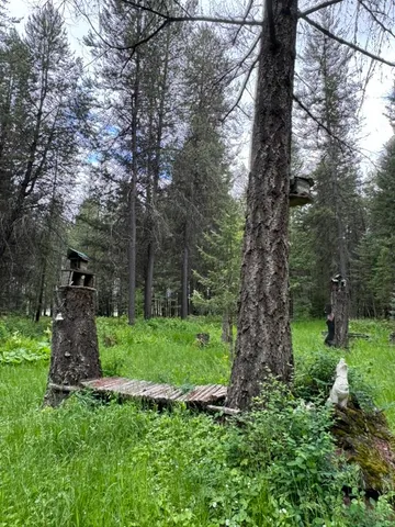 $395,000 | 221 Trask Pond Road, Newport, WA 99156