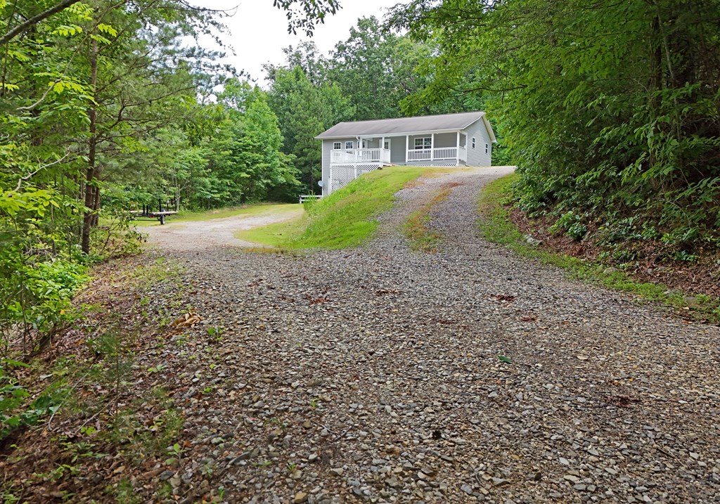 621 Shoe Factory Road Blairsville, GA 30512 - Photo 2 of 40 Gallery Image 2
