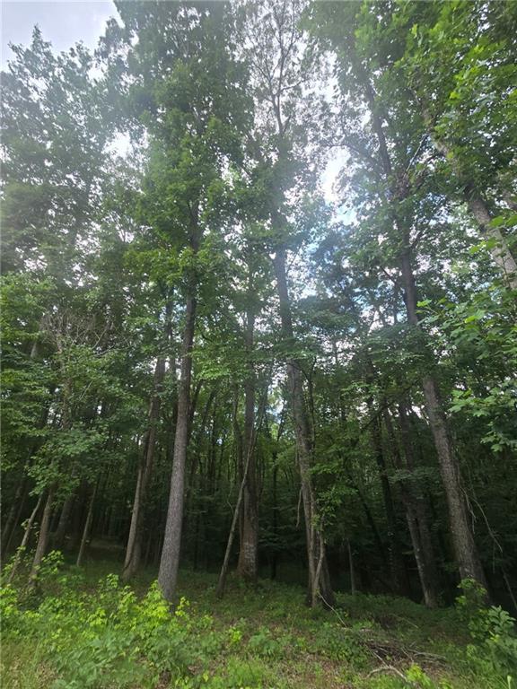 6147 Little Ridge Road Acworth, GA 30102 - Photo 3 of 9