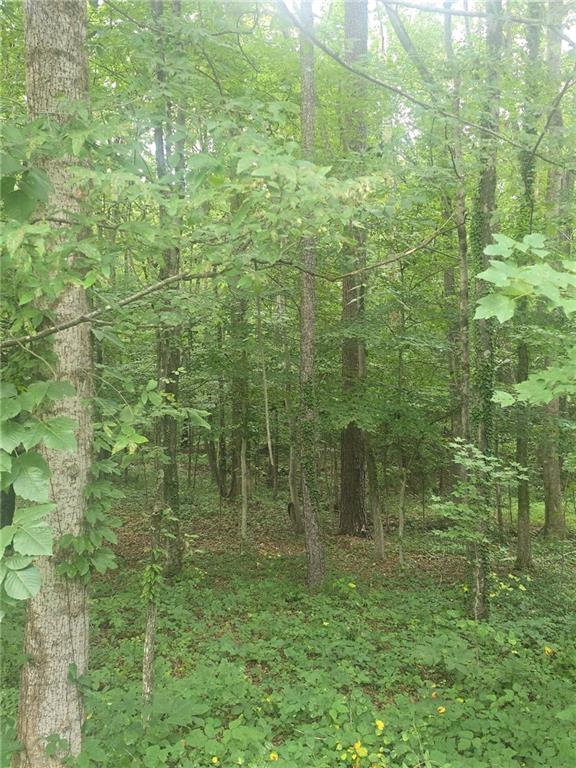 6147 Little Ridge Road Acworth, GA 30102 - Photo 5 of 9