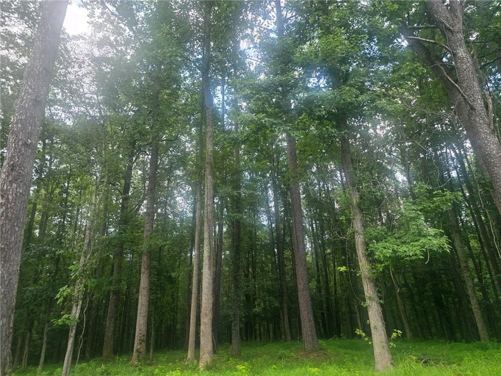 6147 Little Ridge Road Acworth, GA 30102 - Photo 6 of 9