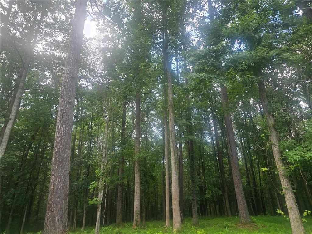 6147 Little Ridge Road Acworth, GA 30102 - Photo 7 of 9