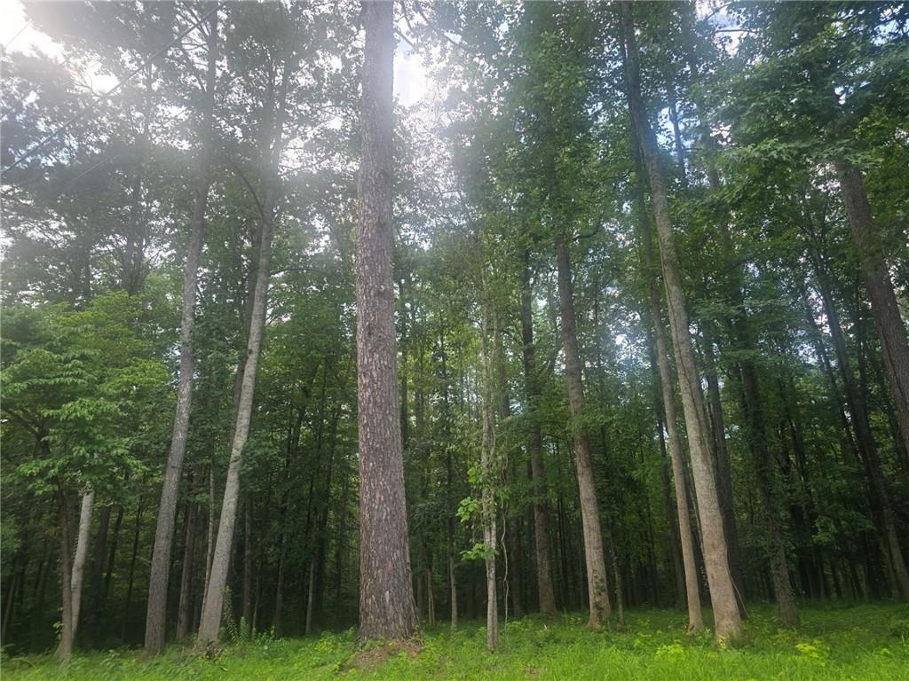 6147 Little Ridge Road Acworth, GA 30102 - Photo 8 of 9