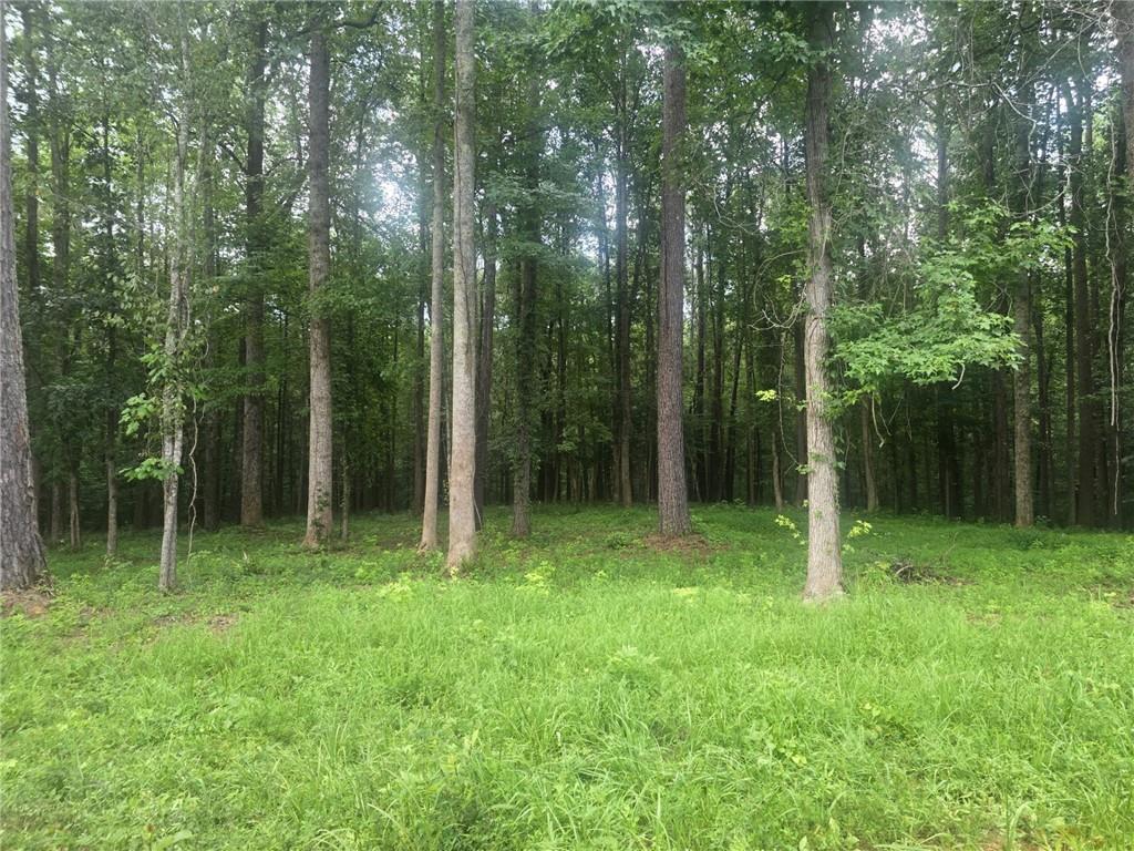 6147 Little Ridge Road Acworth, GA 30102 - Photo 9 of 9