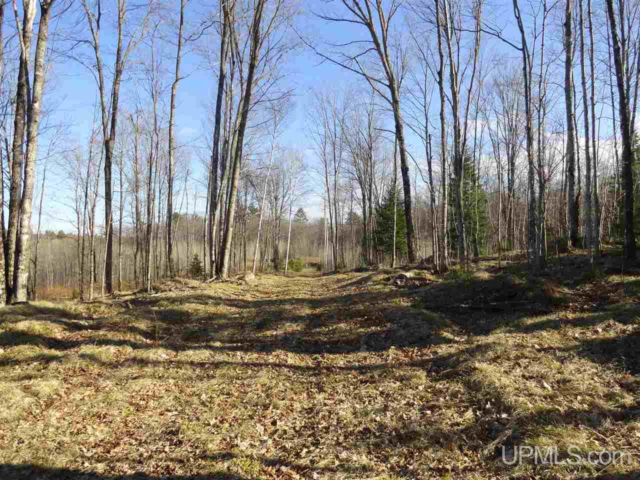 Bed Spring Lake Bed Spring Lake Republic, MI 49879 - Photo 17 of 36