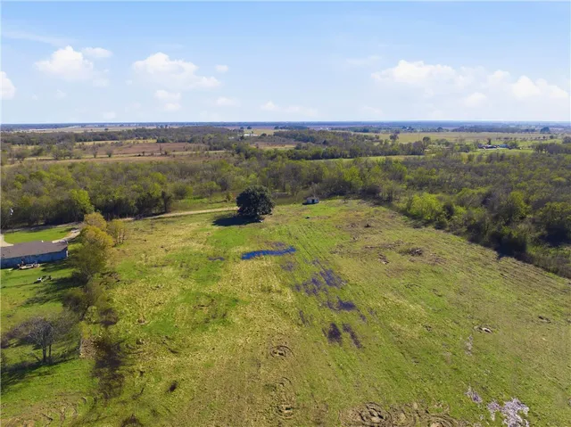 a view of a park with large trees