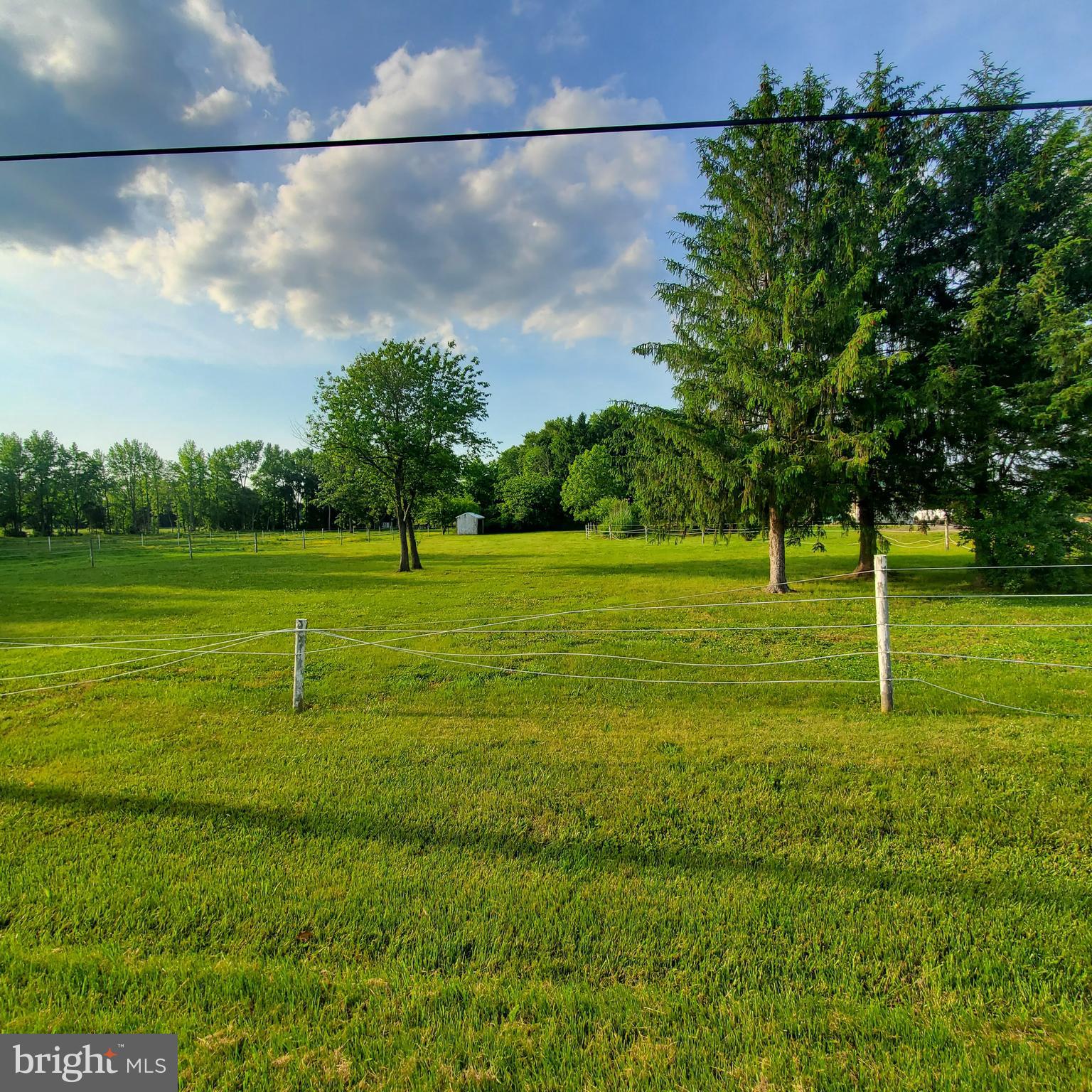 367 Hartly Road Hartly, DE 19953 - Photo 3 of 48 Pasture