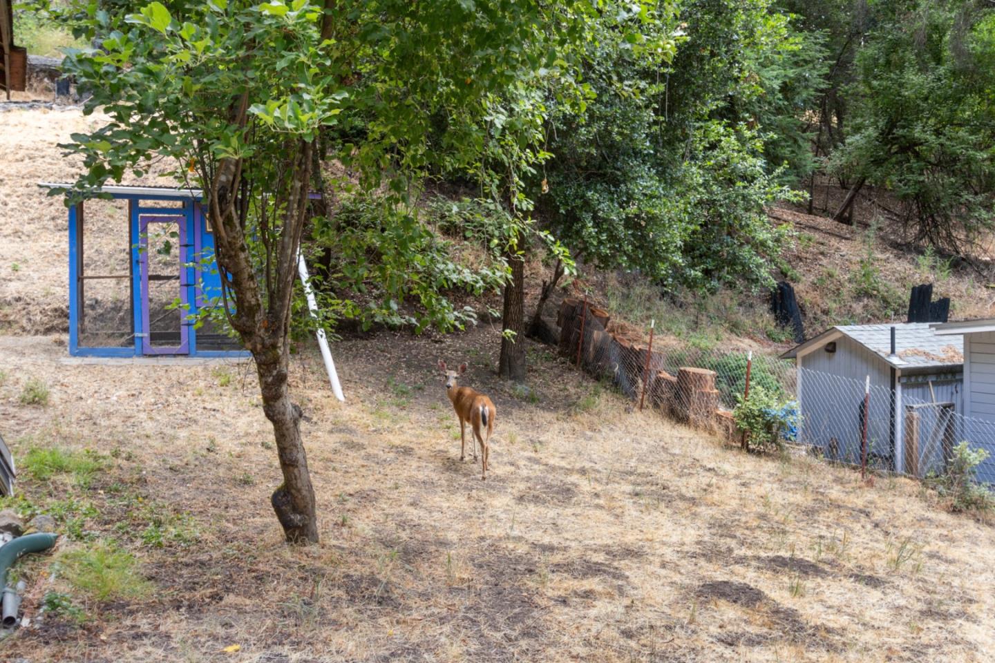 1100 Rambling Road Boulder Creek, CA 95006 - Photo 40 of 53 Gallery Image 40