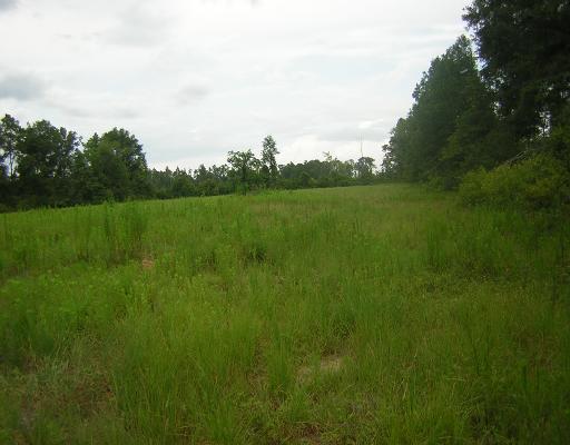 300 Pump Branch Road Wiggins, MS 39577 - Photo 3 of 6 Additional Photo