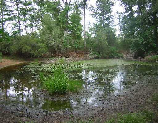 300 Pump Branch Road Wiggins, MS 39577 - Photo 4 of 6 Additional Photo