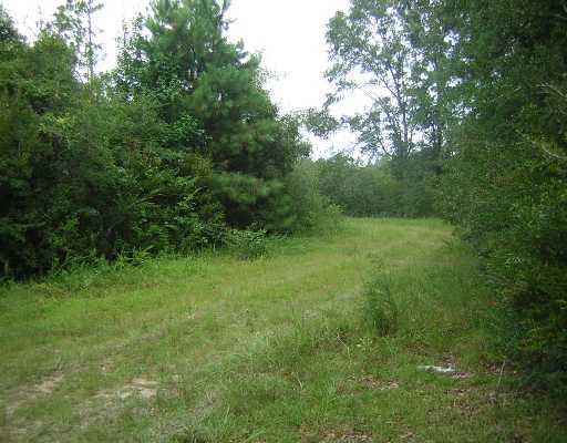 300 Pump Branch Road Wiggins, MS 39577 - Photo 5 of 6 Additional Photo