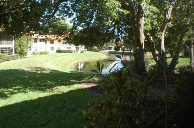 a view of a park with large trees