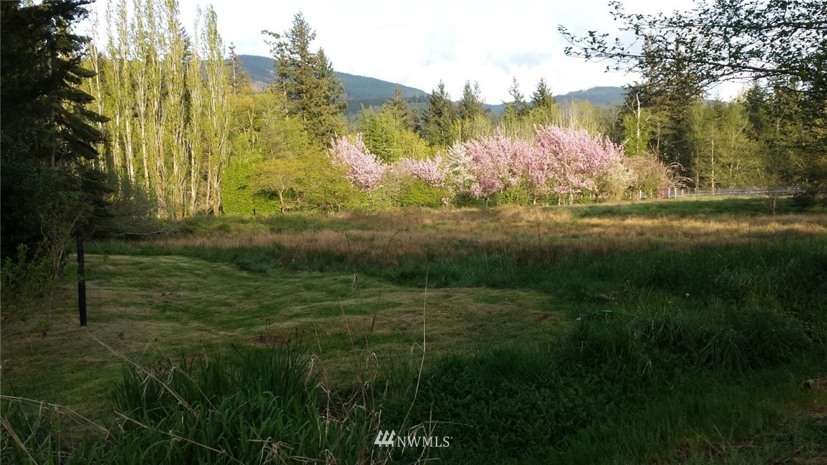 2545 Jensen Road Bellingham, WA 98226 - Photo 18 of 23 Gallery Image 18