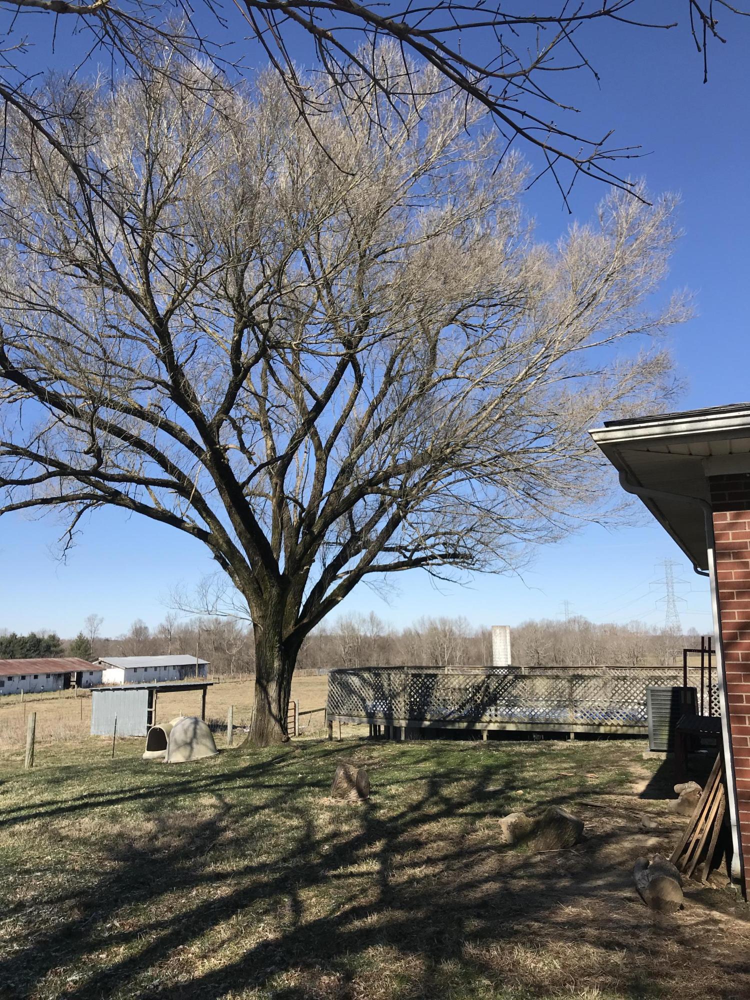 300 Walter Floyd Road Eubank, KY 42567 - Photo 23 of 38 A8FD6DB1-5E95-4C60-960F-981F5EA6946A<|><