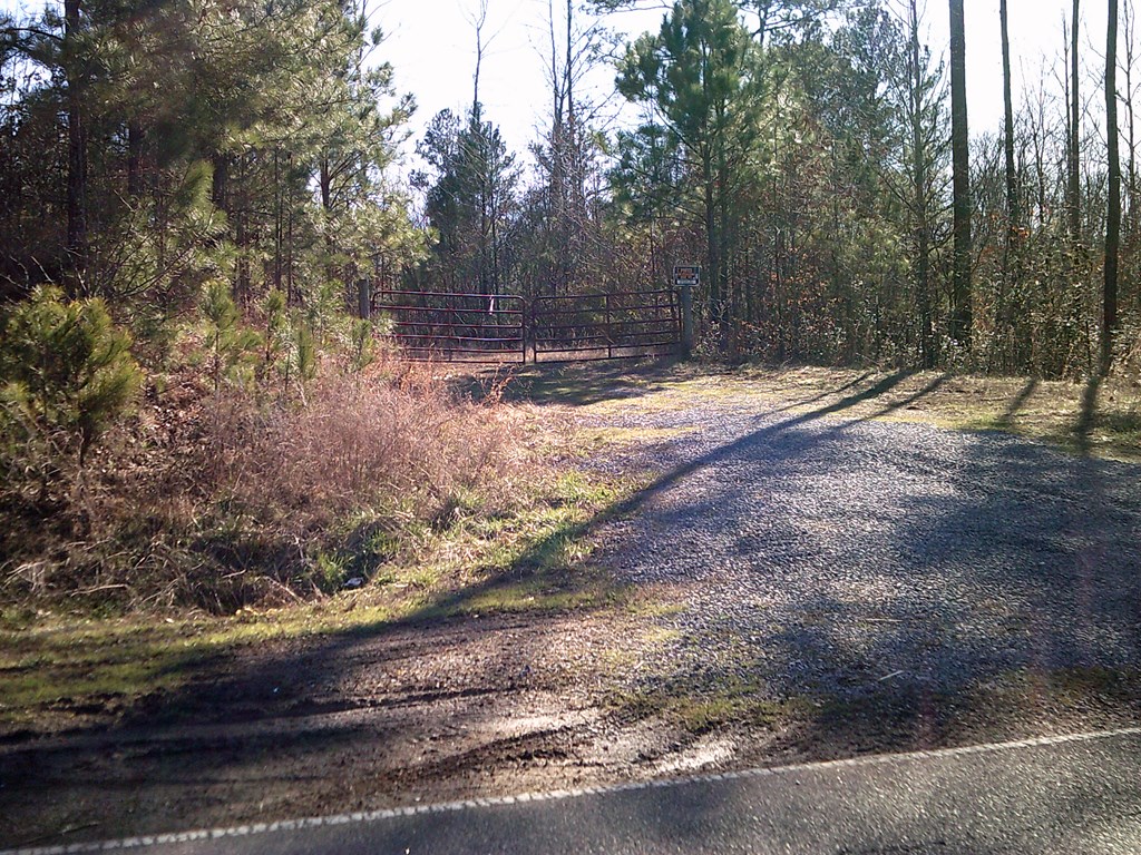 Gallery Image 5