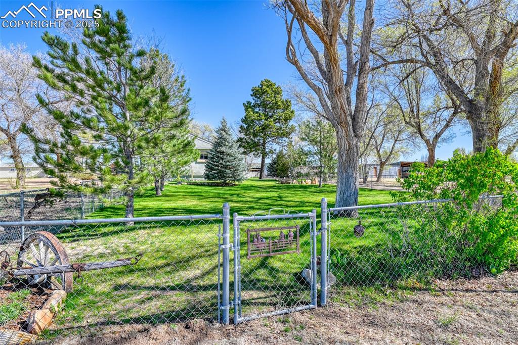 22500 Enoch Road Calhan, CO 80808 - Photo 2 of 39 a view of a park with large trees