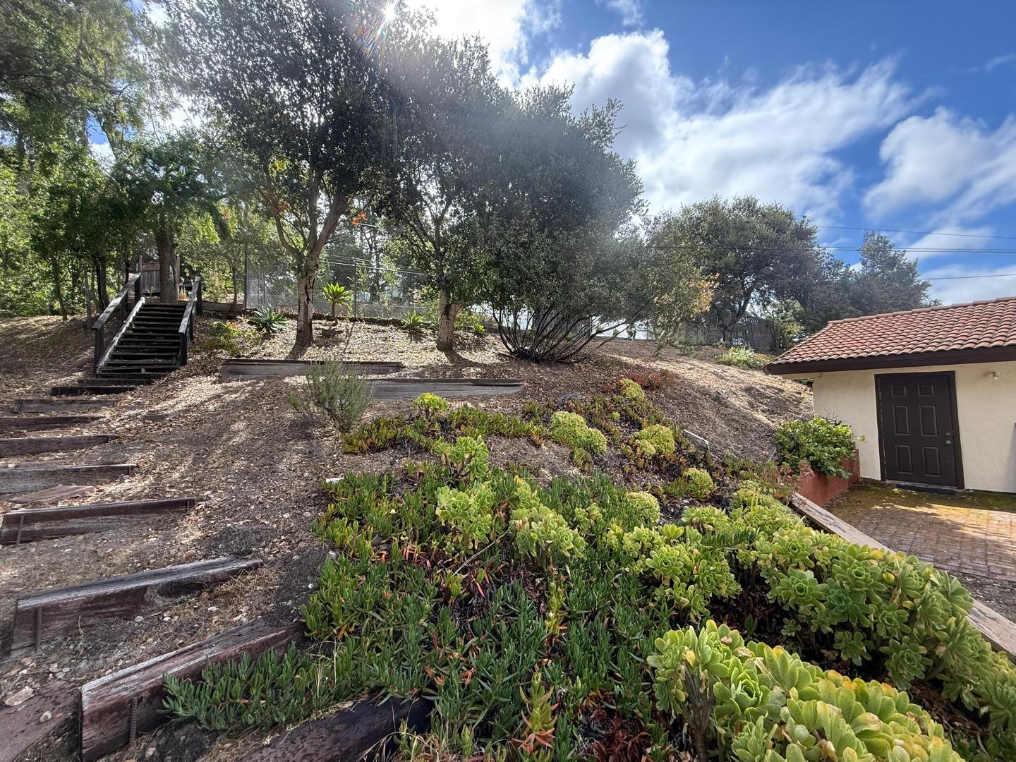 11585 McCarthy Road Carmel Valley, CA 93924 - Photo 17 of 52 a view of a yard with plants and trees