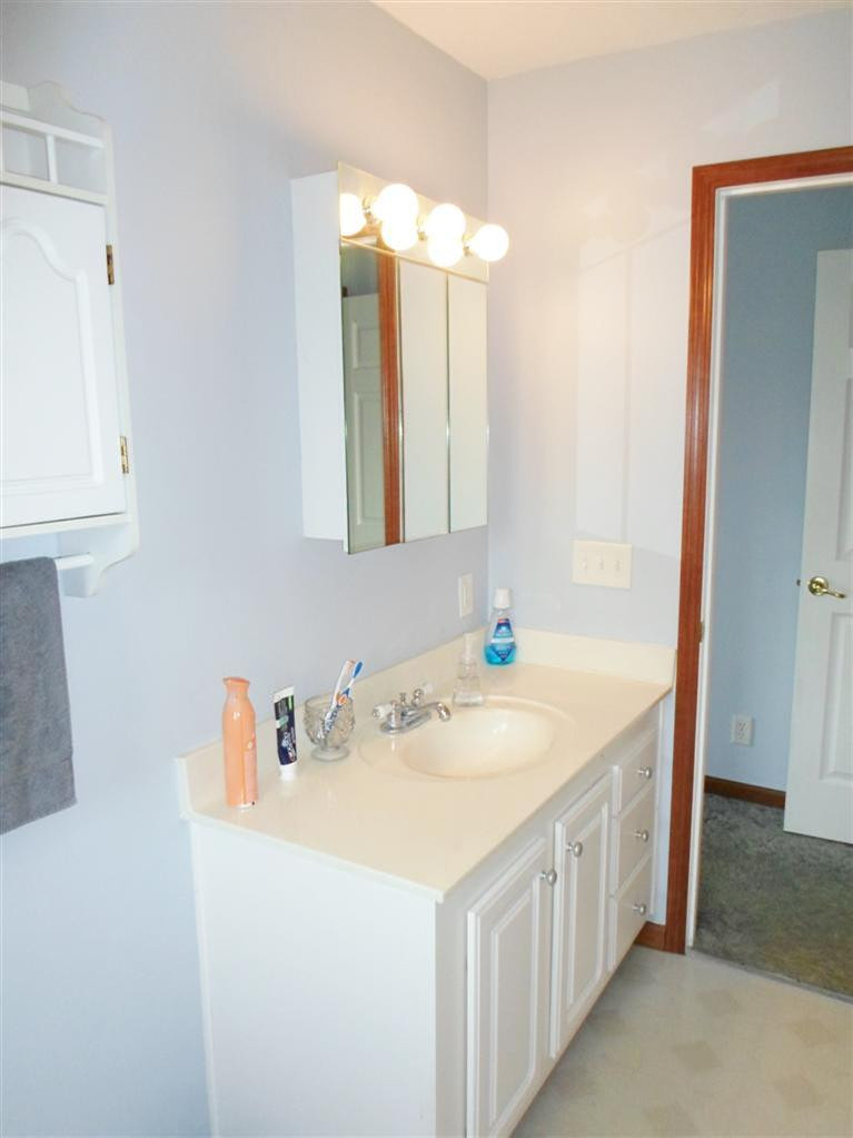 3892 East Bemis Road Ypsilanti, MI 48197 - Photo 12 of 39 Photo 12