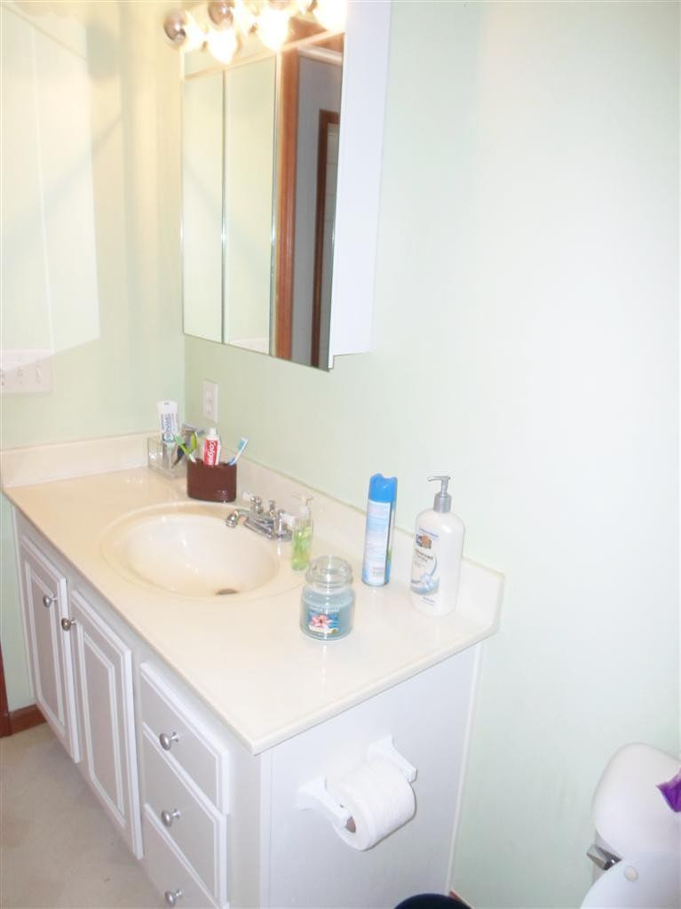 3892 East Bemis Road Ypsilanti, MI 48197 - Photo 17 of 39 Photo 17