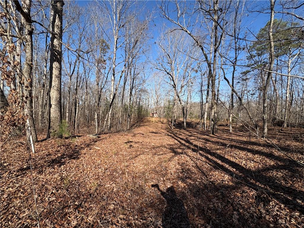 5164 Dudley Hill Road Gainesville, GA 30506 - Photo 1 of 14 a view of a yard with trees
