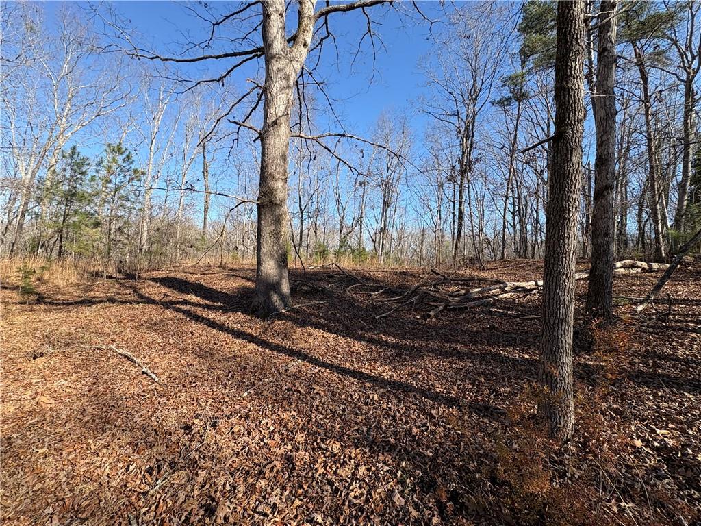 5164 Dudley Hill Road Gainesville, GA 30506 - Photo 11 of 14 a view of a backyard of the house