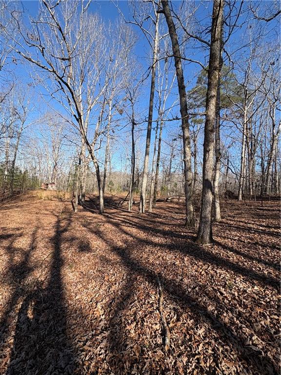 5164 Dudley Hill Road Gainesville, GA 30506 - Photo 12 of 14 a view of yard with tree
