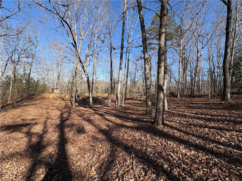 5164 Dudley Hill Road Gainesville, GA 30506 - Photo 13 of 14 a view of a yard with wooden fence