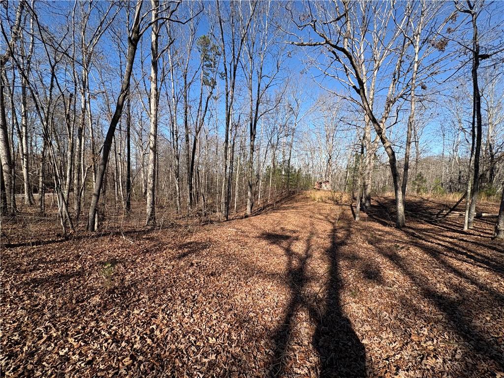 5164 Dudley Hill Road Gainesville, GA 30506 - Photo 2 of 14 a view of a yard covered with snow