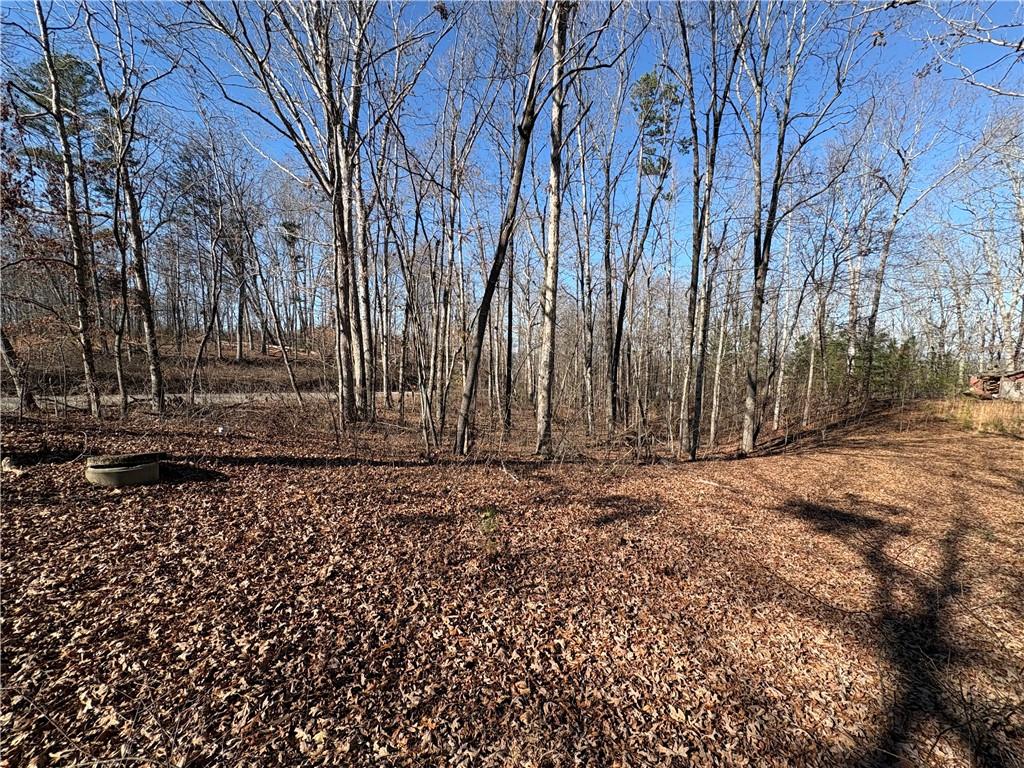 5164 Dudley Hill Road Gainesville, GA 30506 - Photo 3 of 14 a backyard of a house with trees