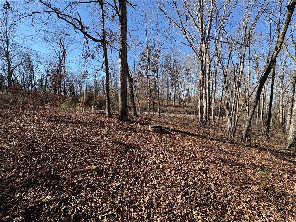 5164 Dudley Hill Road Gainesville, GA 30506 - Photo 4 of 14 a view of a backyard of the house