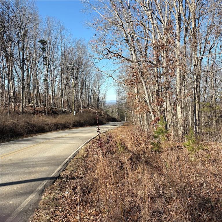 5164 Dudley Hill Road Gainesville, GA 30506 - Photo 5 of 14 a view of a yard with buildings and trees