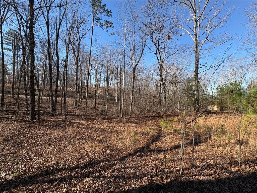 5164 Dudley Hill Road Gainesville, GA 30506 - Photo 6 of 14 a view of a yard with trees