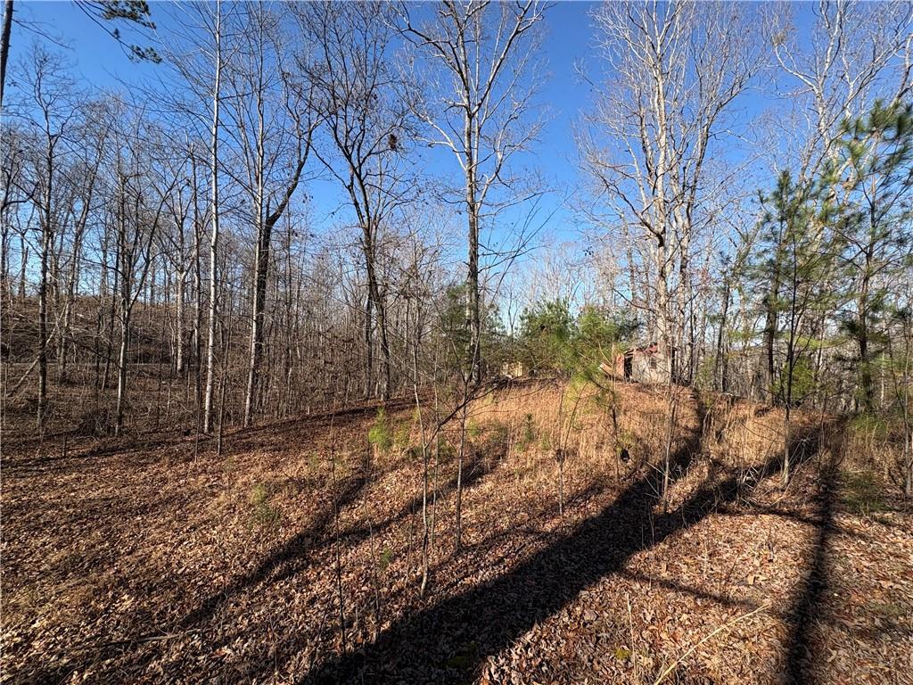 5164 Dudley Hill Road Gainesville, GA 30506 - Photo 7 of 14 a view of a yard with trees