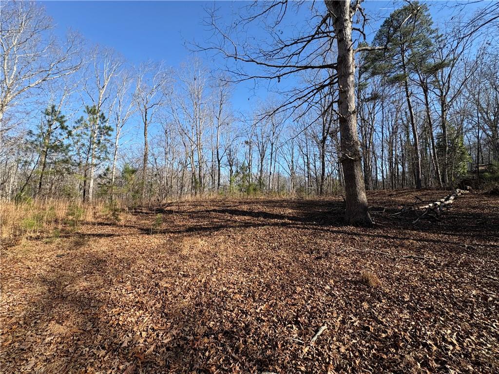 5164 Dudley Hill Road Gainesville, GA 30506 - Photo 8 of 14 a view of a backyard of the house
