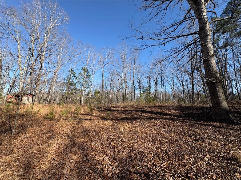 5164 Dudley Hill Road Gainesville, GA 30506 - Photo 9 of 14 a view of a backyard of the house