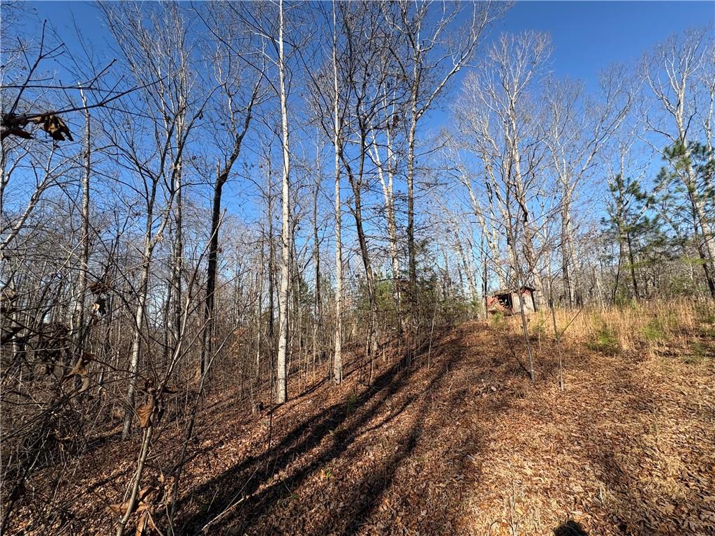 5164 Dudley Hill Road Gainesville, GA 30506 - Photo 10 of 14 a view of a yard covered with snow
