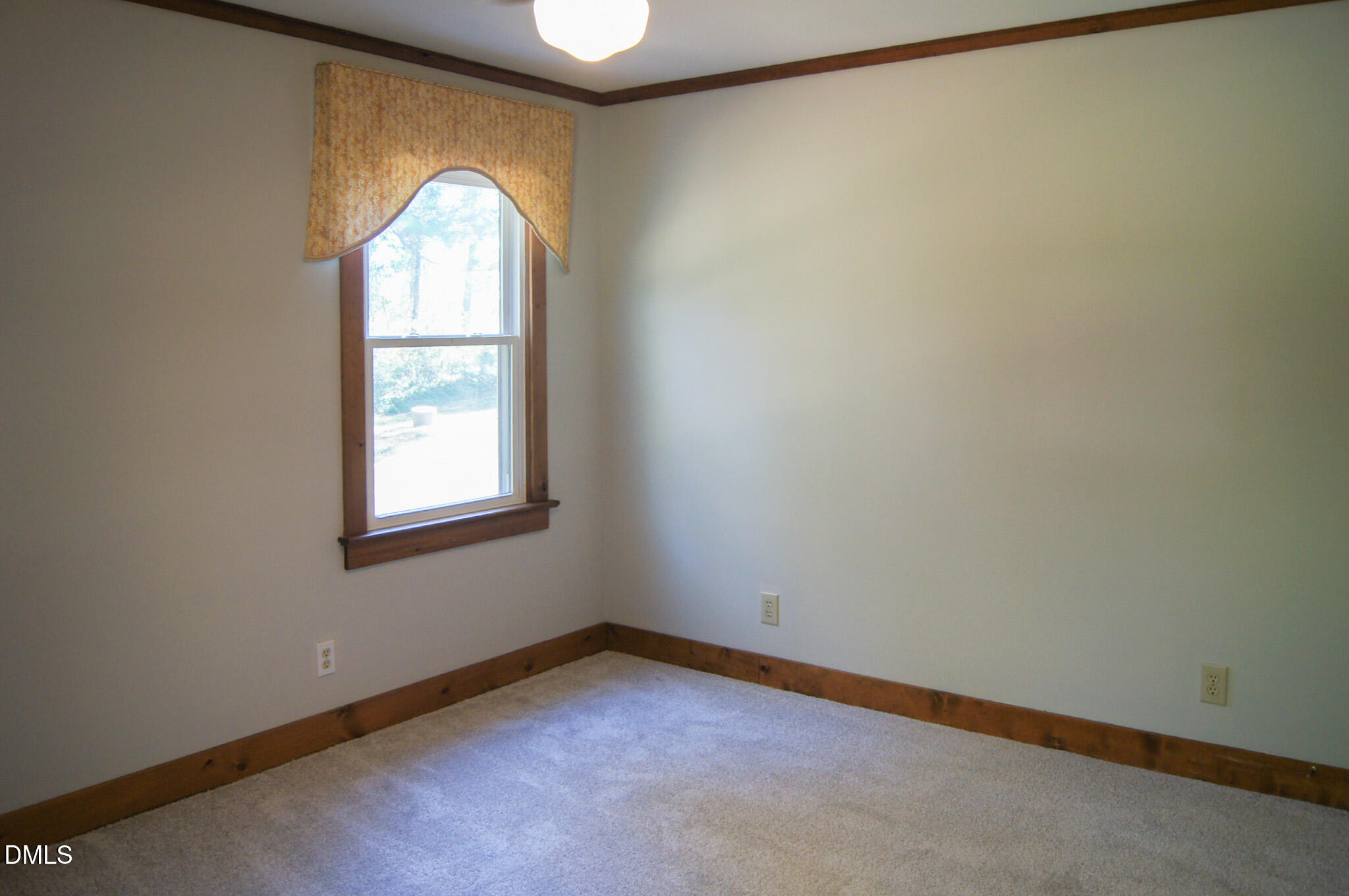 8720 Mt Pleasant Church Road Willow Spring, NC 27592 - Photo 25 of 77 DSC06142