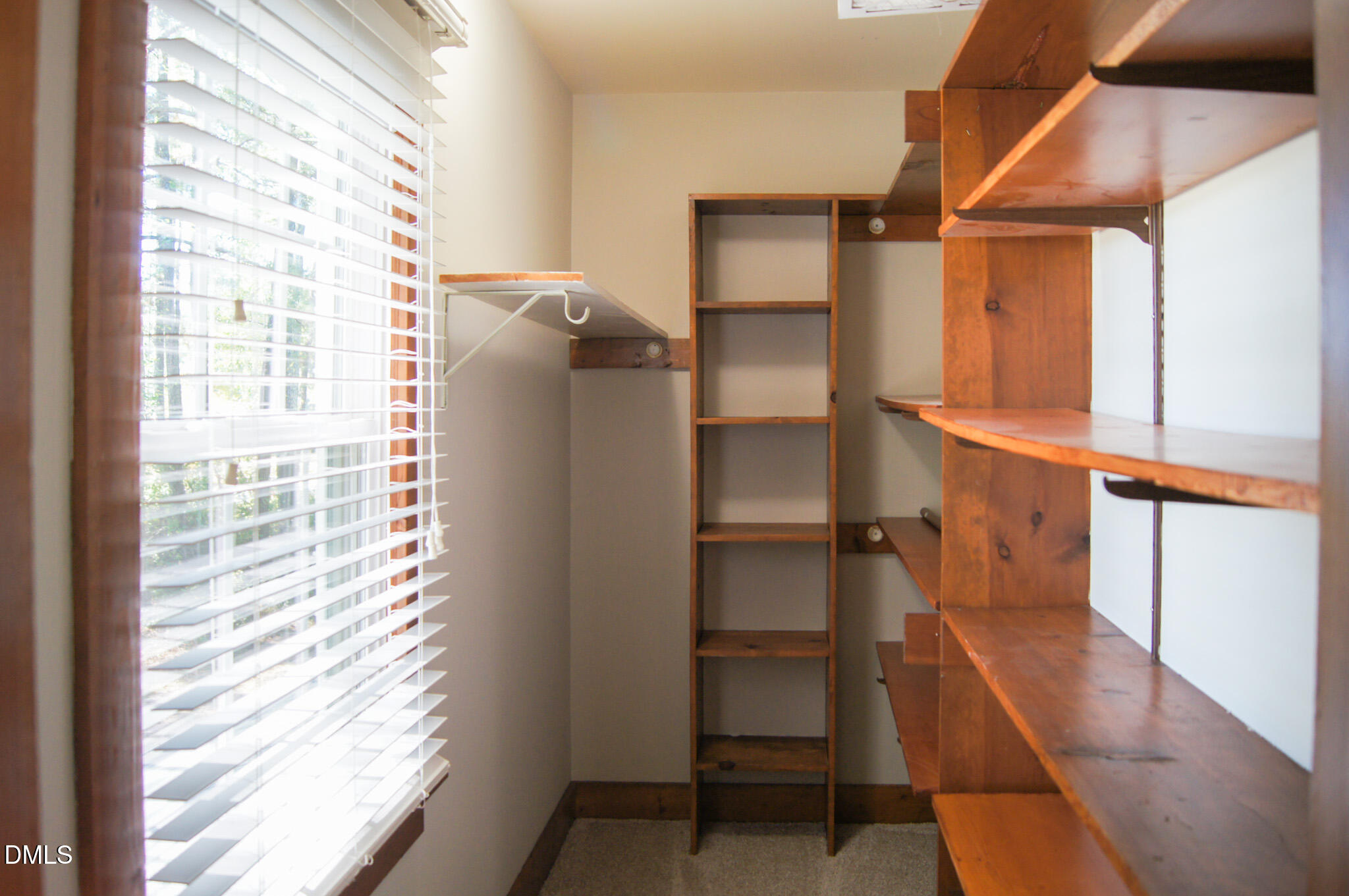 8720 Mt Pleasant Church Road Willow Spring, NC 27592 - Photo 46 of 77 a view of walk in closet with empty racks