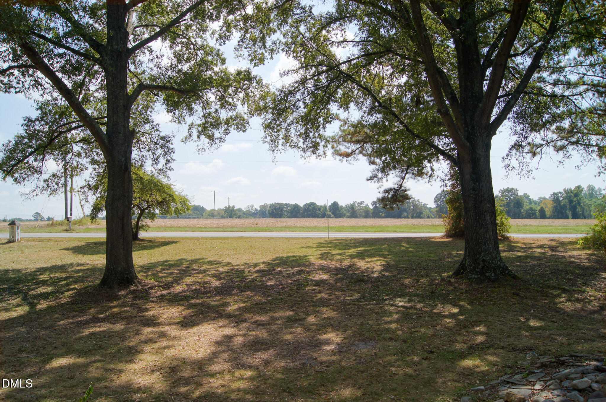 8720 Mt Pleasant Church Road Willow Spring, NC 27592 - Photo 57 of 77 a view of a lake with a tree