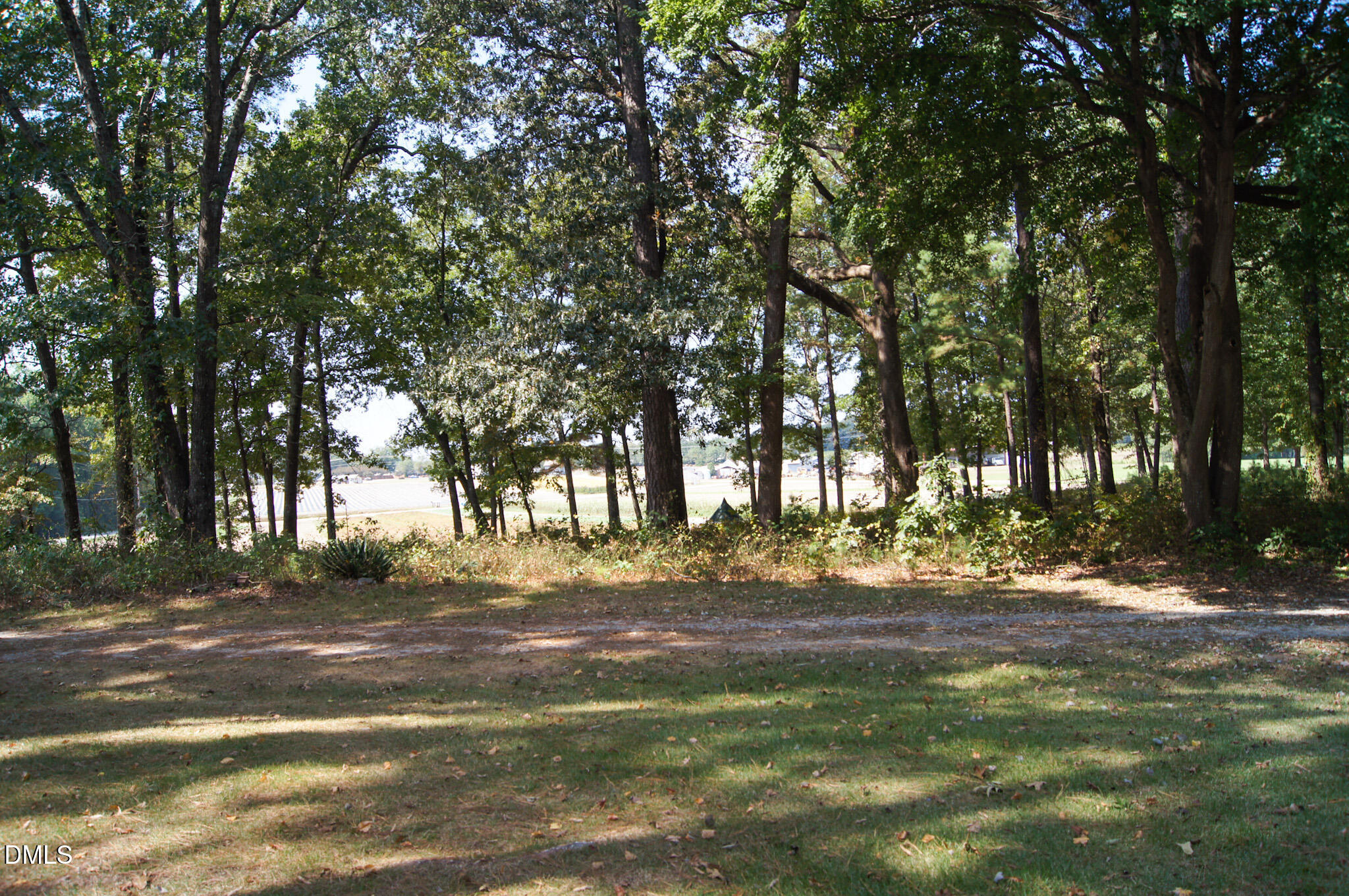 8720 Mt Pleasant Church Road Willow Spring, NC 27592 - Photo 71 of 77 DSC06085