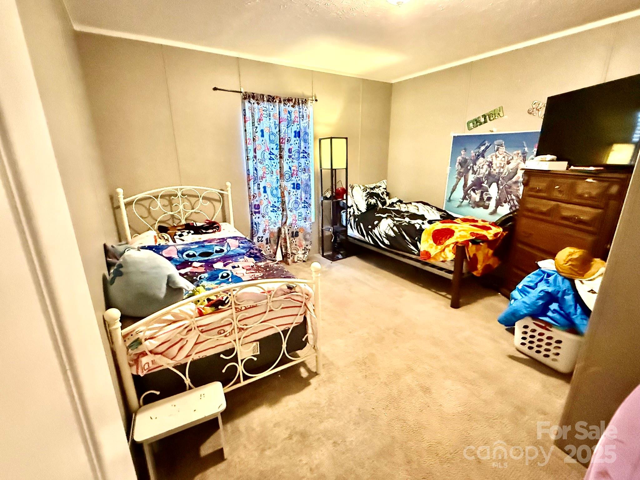 2958 Sycamore Road Jefferson, SC 29718 - Photo 13 of 16 a bedroom with furniture and a flat screen tv
