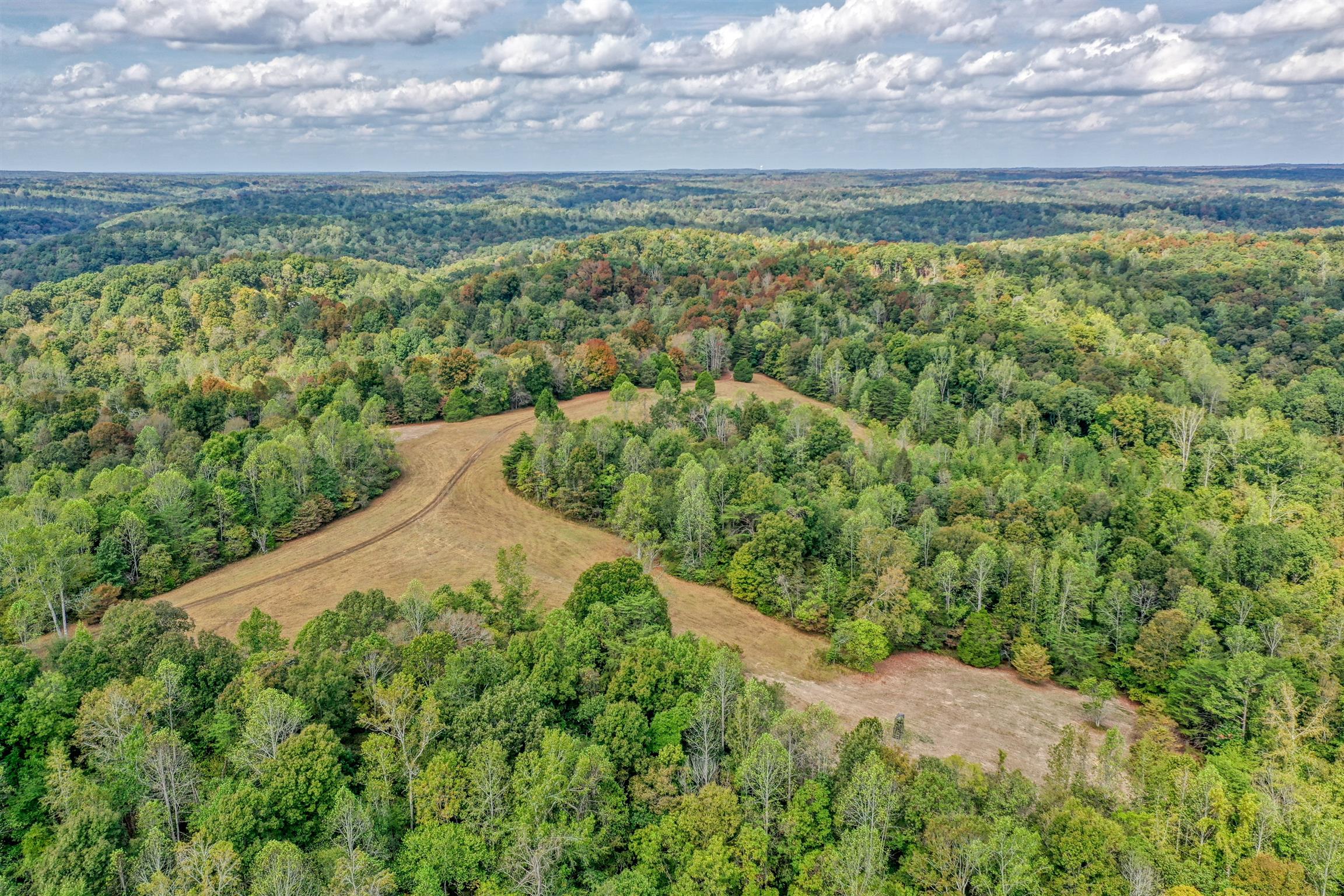 8486 Tom Patton Road Lyles, TN 37098 - Photo 17 of 30